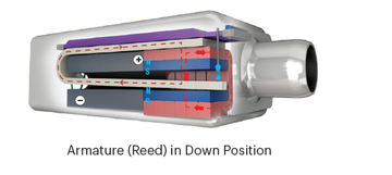 Balanced Armature Reed in Down Position