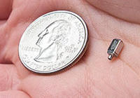 Quarter in Hand with Ear Chip